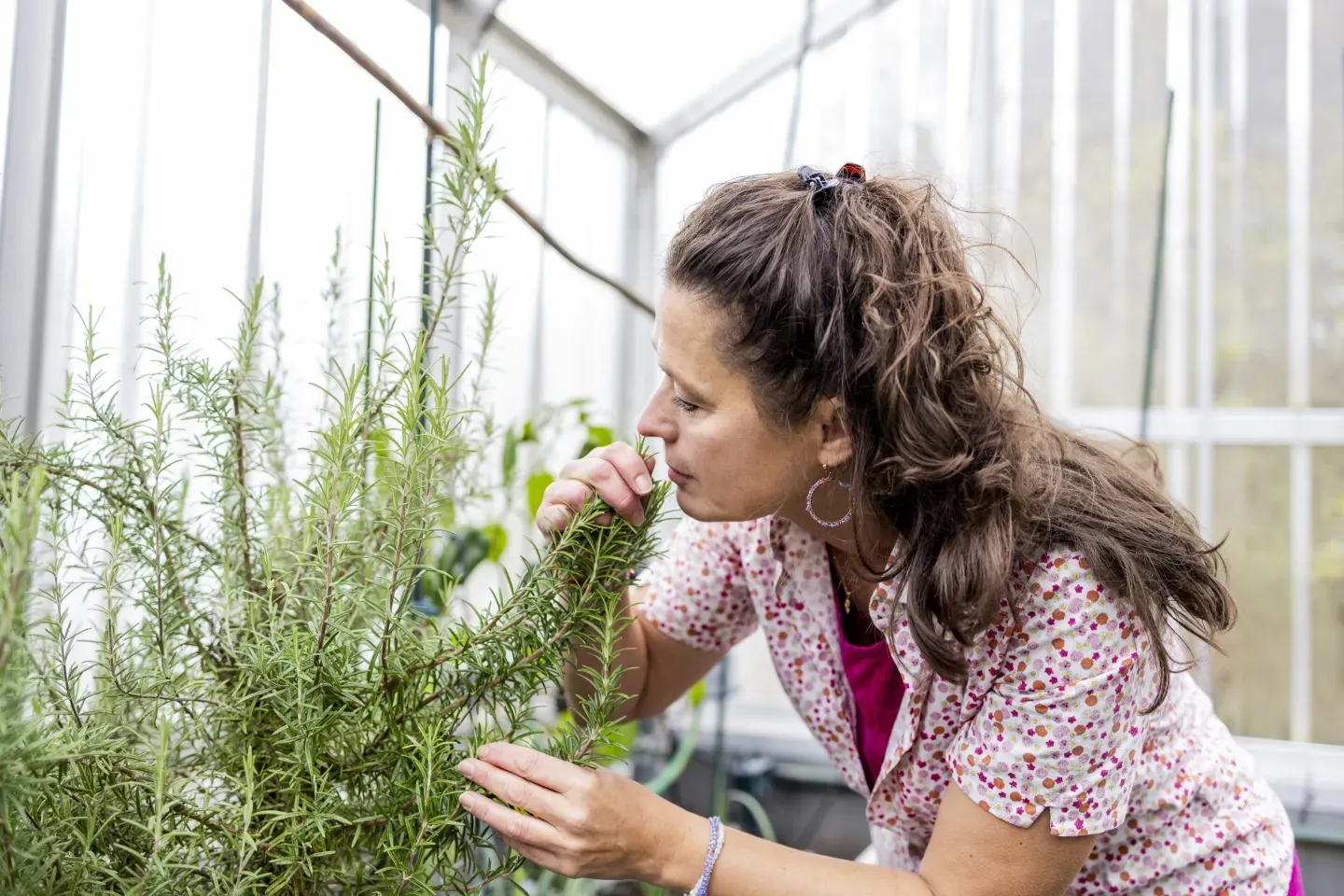 Read more about the article Scientists Say This Everyday Kitchen Herb Could Help Fight Alzheimer’s, Ease Anxiety, and Improve Sleep Naturally